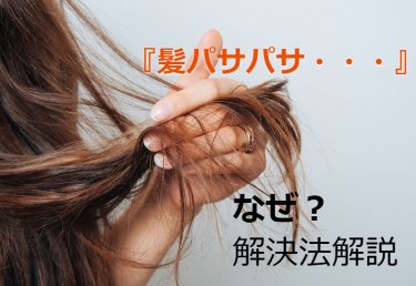 「髪の毛がパサパサ」治す方法を徹底解説！！